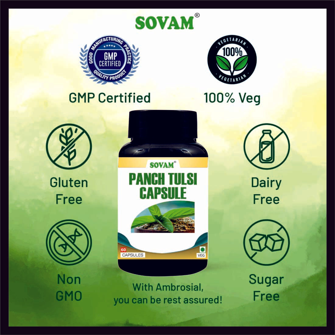 Sovam Panch Tulsi 60 Capsule