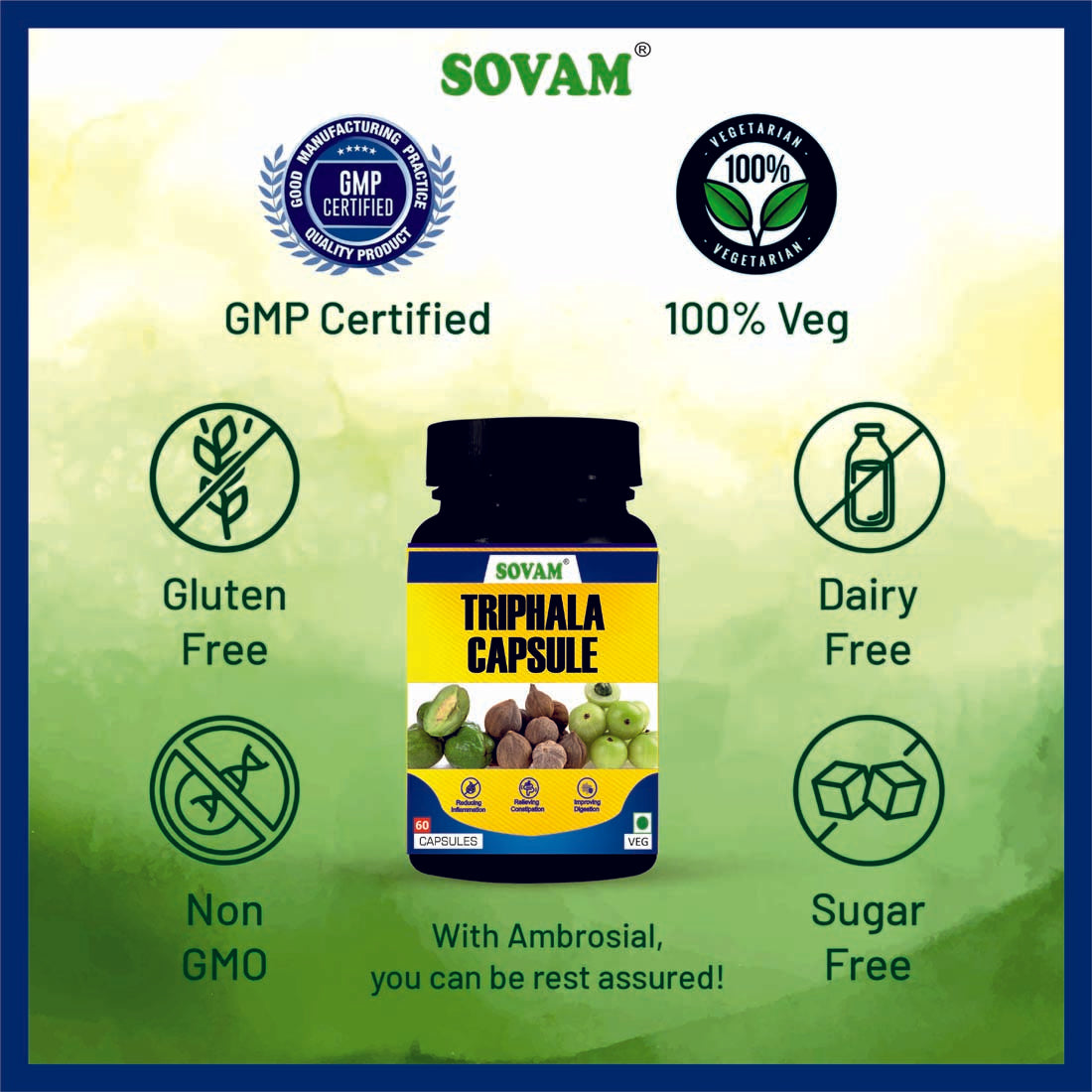 Sovam Triphala Ayurvedic 60 Capsules