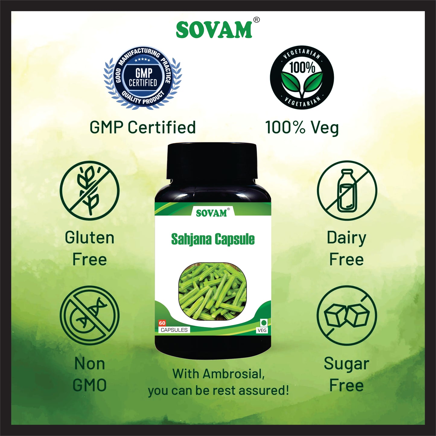 Sovam Sahjana 60 Capsule