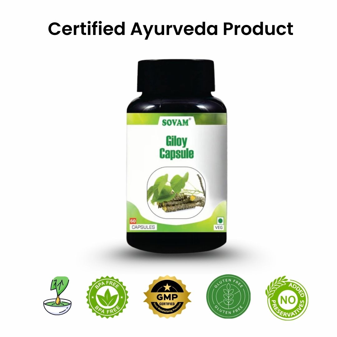 Sovam Giloy Capsules 60 Caps – Immune & Daily Wellness Support