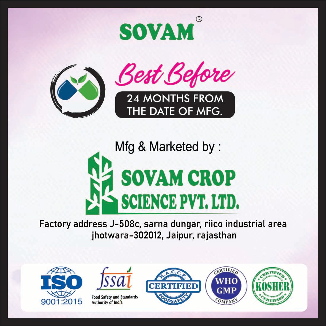 Stone care capsule - 60 Capsule - SOVAM AYURVEDA