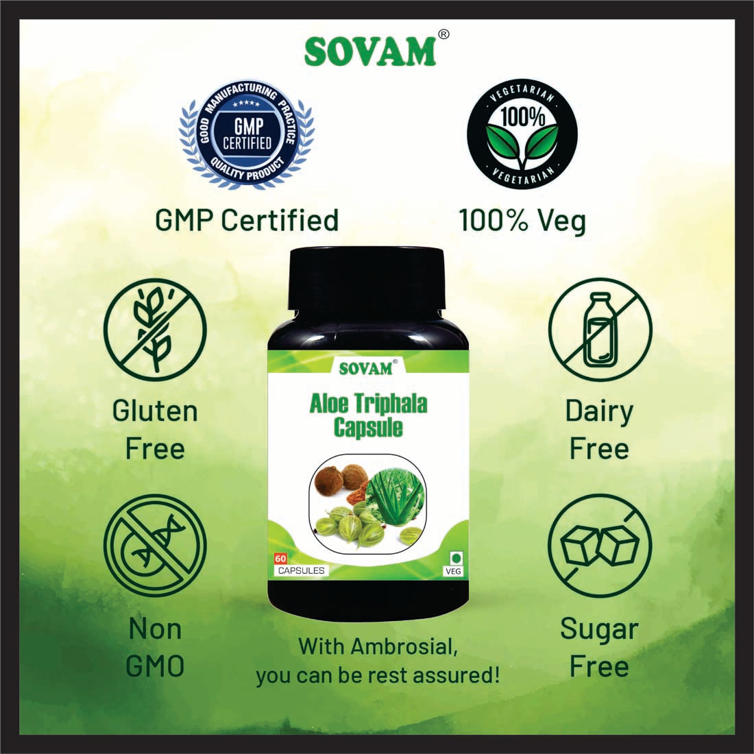 Sovam Aloevera Triphala 60 Capsules