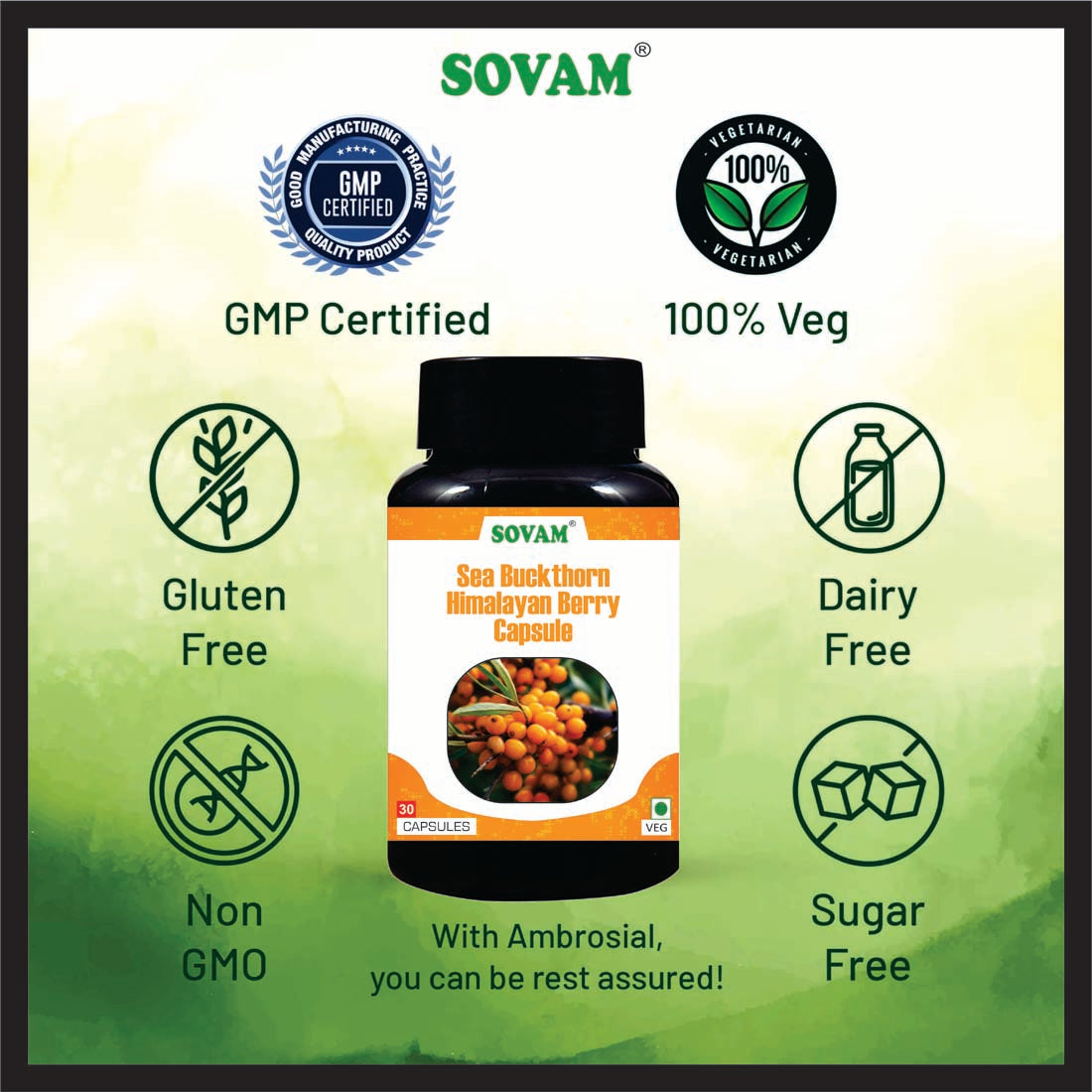 Sovam Sea Buckthorn Himalayan Berry 30 Capsule | For Healthy Heart, Immunity Power, Skin Care & Body Detox