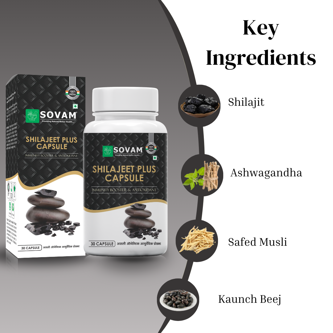 Shilajeet Plus Capsules - Ayurvedic Medicine 30 Capsules