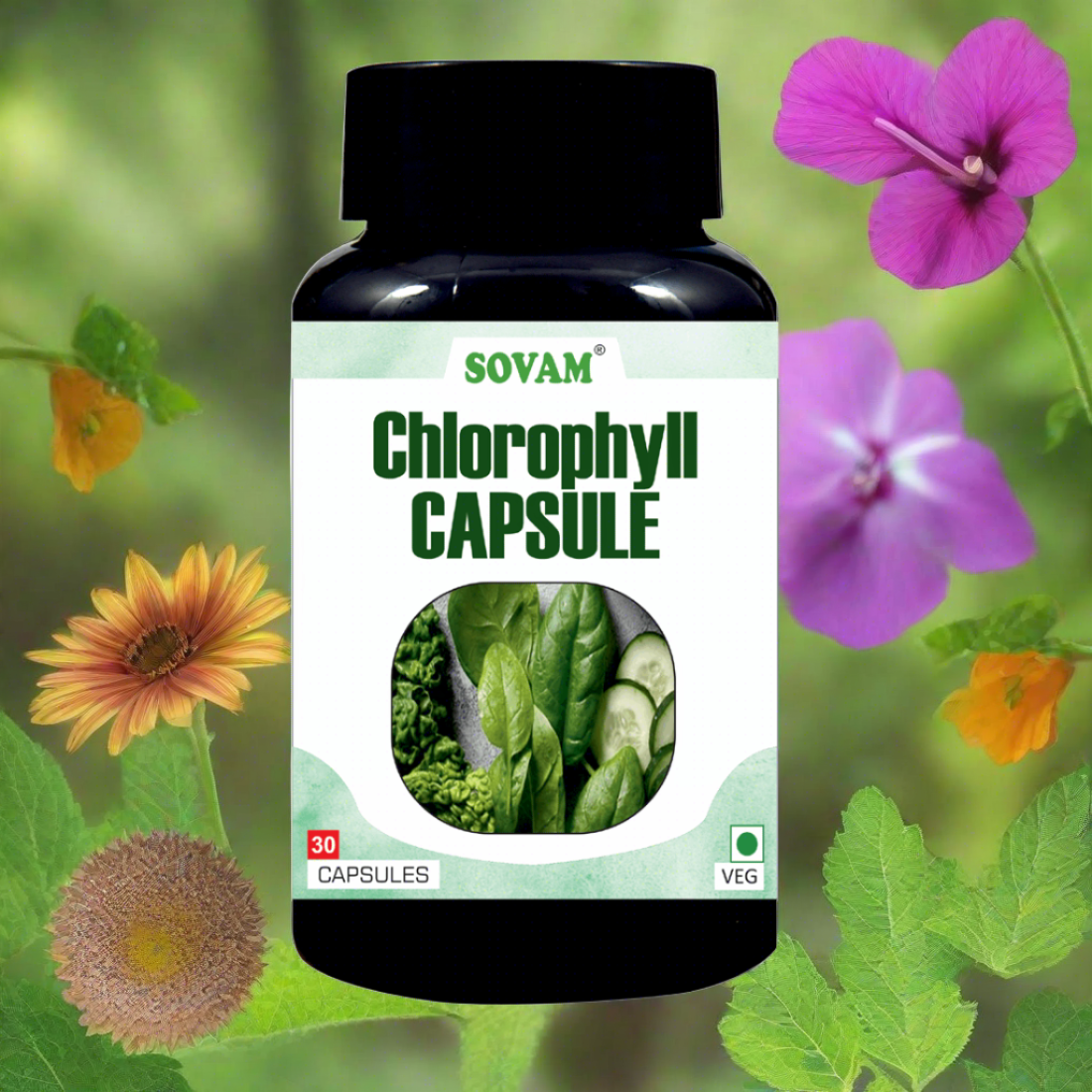 Chlorophyll Capsule For Healthy Digestion - 30 Capsule | Pack of 1