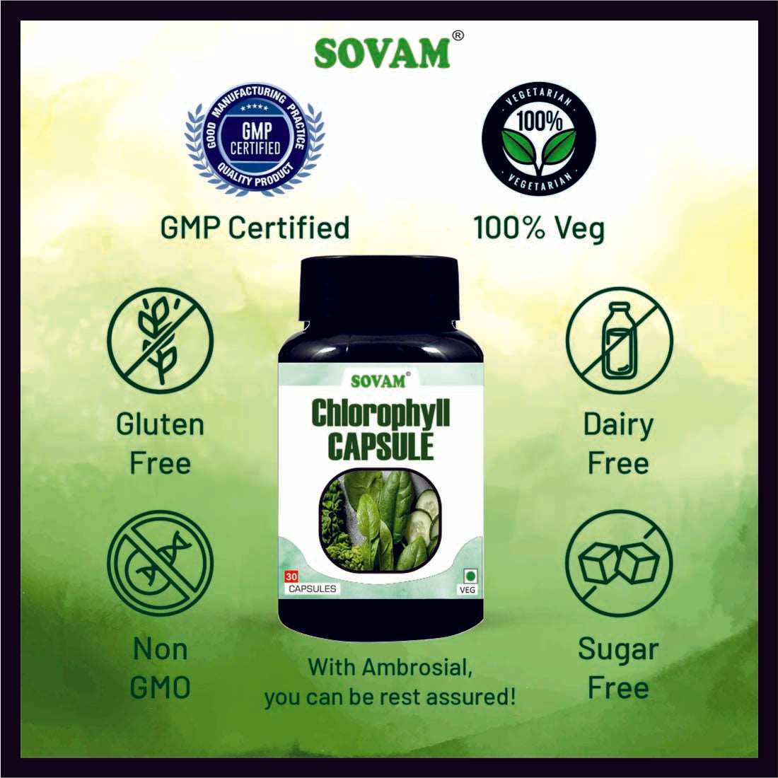 Chlorophyll Capsule For Healthy Digestion - 30 Capsule | Pack of 1