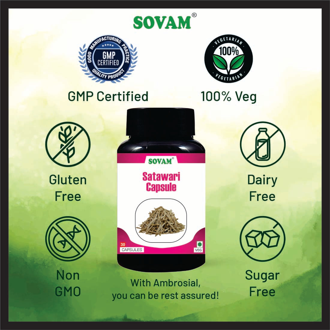 Sovam Shatavari 30 Capsule