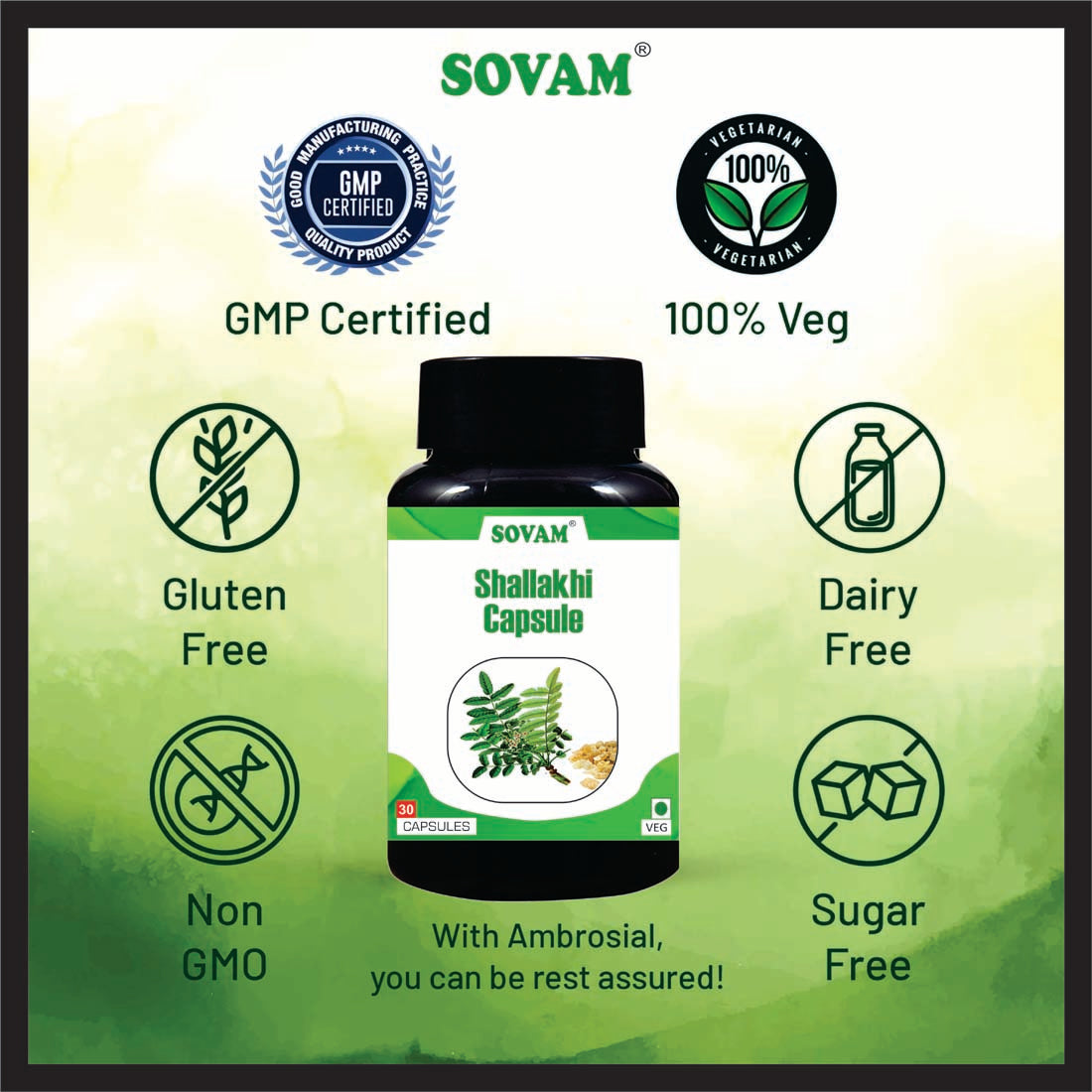 Sovam Shallaki Capsule | Herbal 100% Ayurvedic Health Care Shallaki 30 Capsule