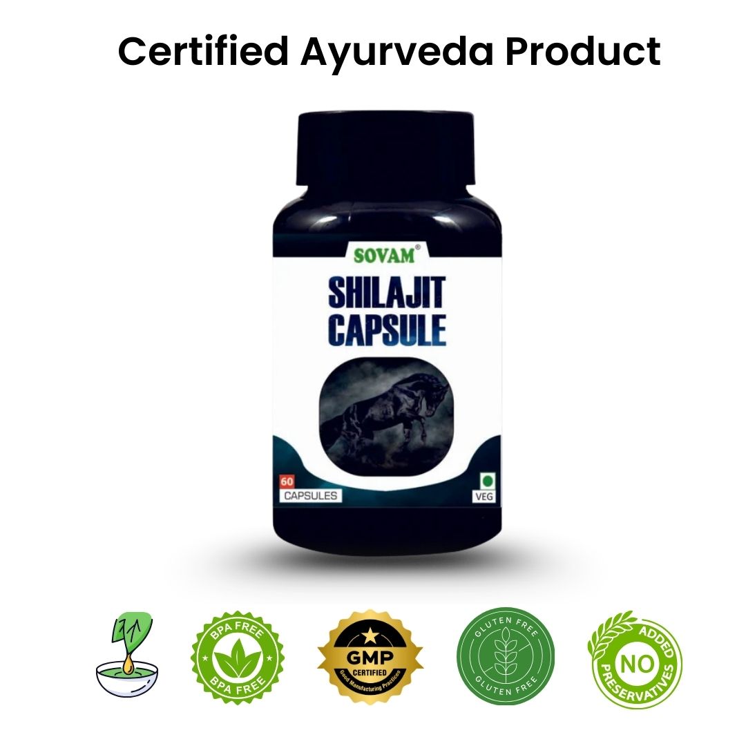 Sovam Shilajit Capsules 60 Caps – Vitality & Daily Wellness Support