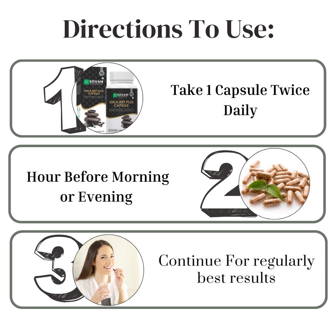 Shilajeet Plus Capsules - Ayurvedic Medicine 30 Capsules