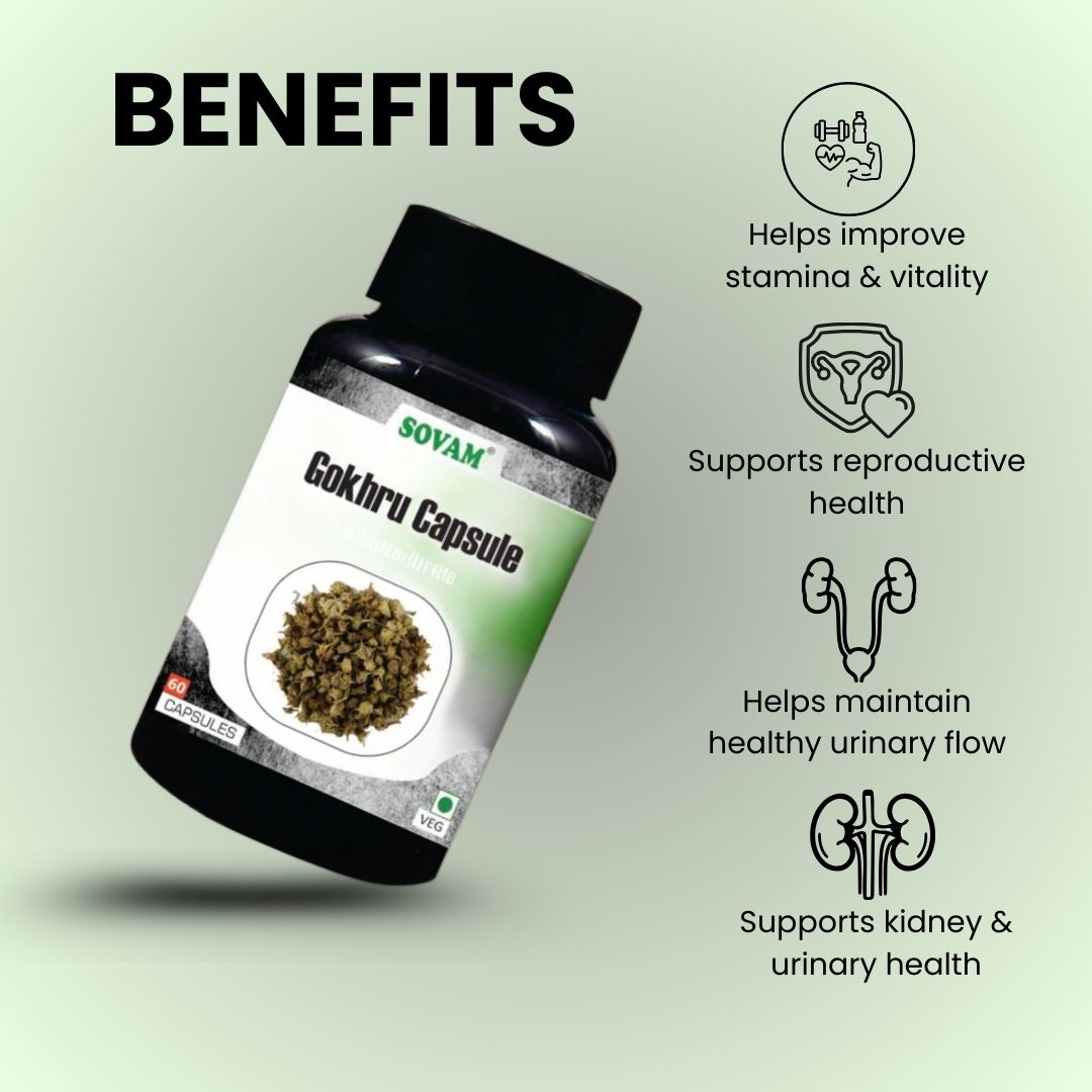Sovam Gokhru Capsules 60 Caps – Herbal Vitality & Daily Wellness Support