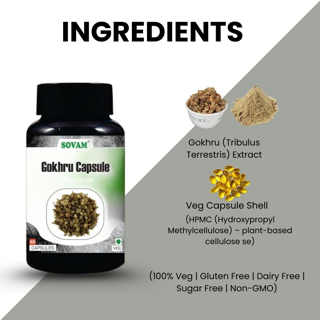 Sovam Gokhru Capsules 60 Caps – Herbal Vitality & Daily Wellness Support