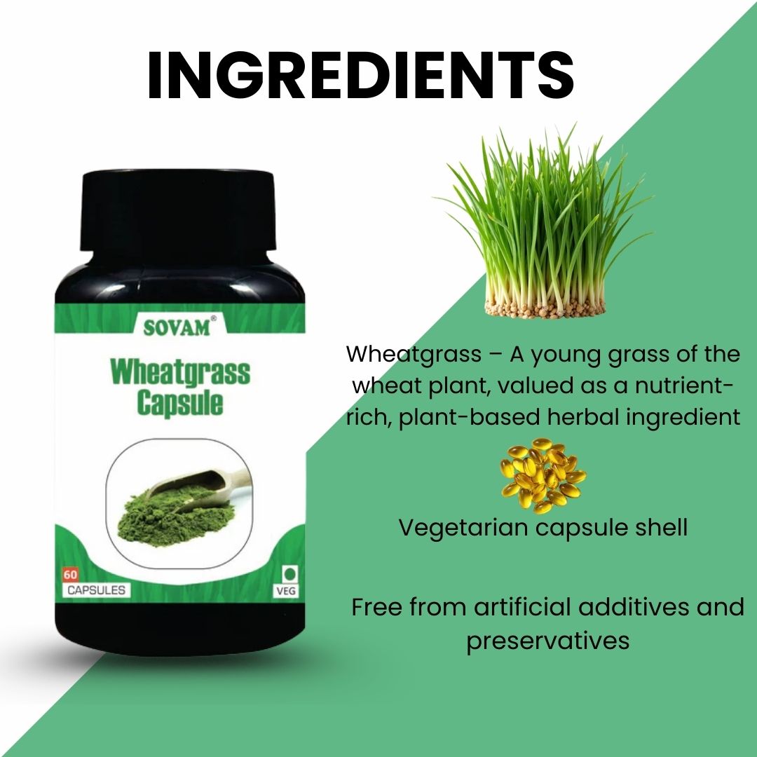 Sovam Wheatgrass Capsules 60 Caps – Green Nutrition & Daily Wellness Support