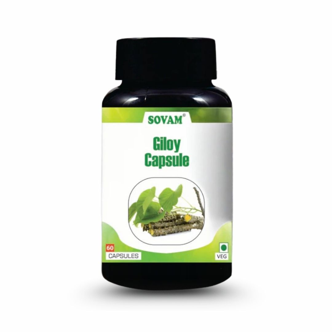 Sovam Giloy Capsules 60 Caps – Immune & Daily Wellness Support