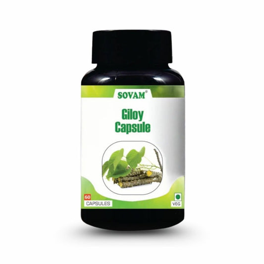 Sovam Giloy Capsules 60 Caps – Immune & Daily Wellness Support