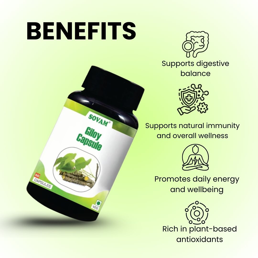 Sovam Giloy Capsules 60 Caps – Immune & Daily Wellness Support