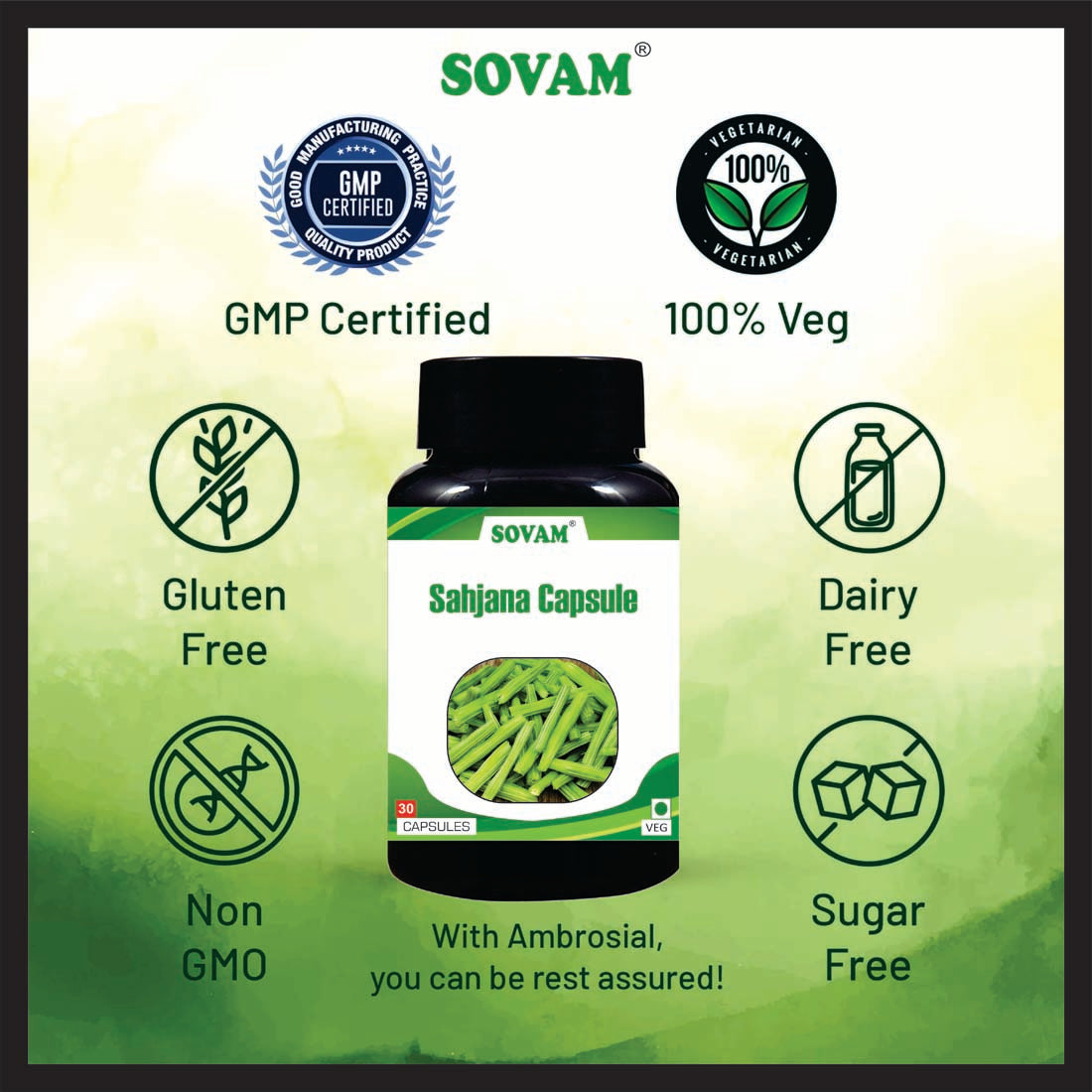Sovam Sahjana 30 pc Capsule