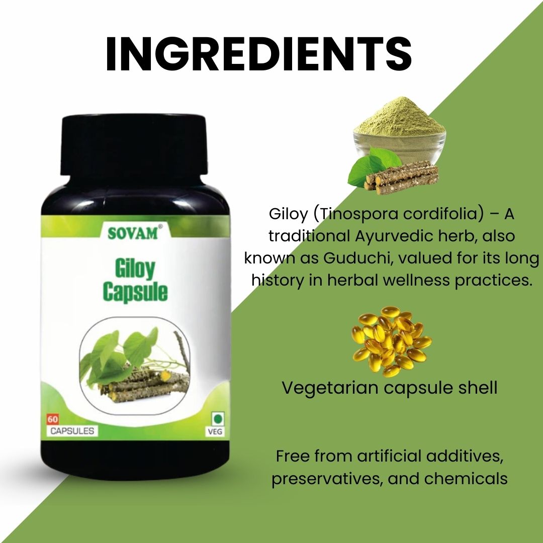 Sovam Giloy Capsules 60 Caps – Immune & Daily Wellness Support