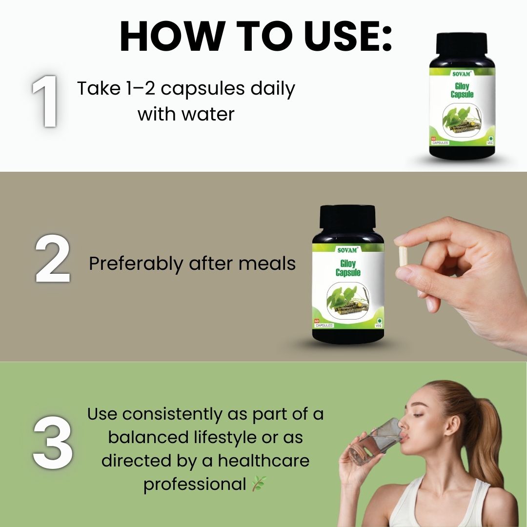 Sovam Giloy Capsules 60 Caps – Immune & Daily Wellness Support