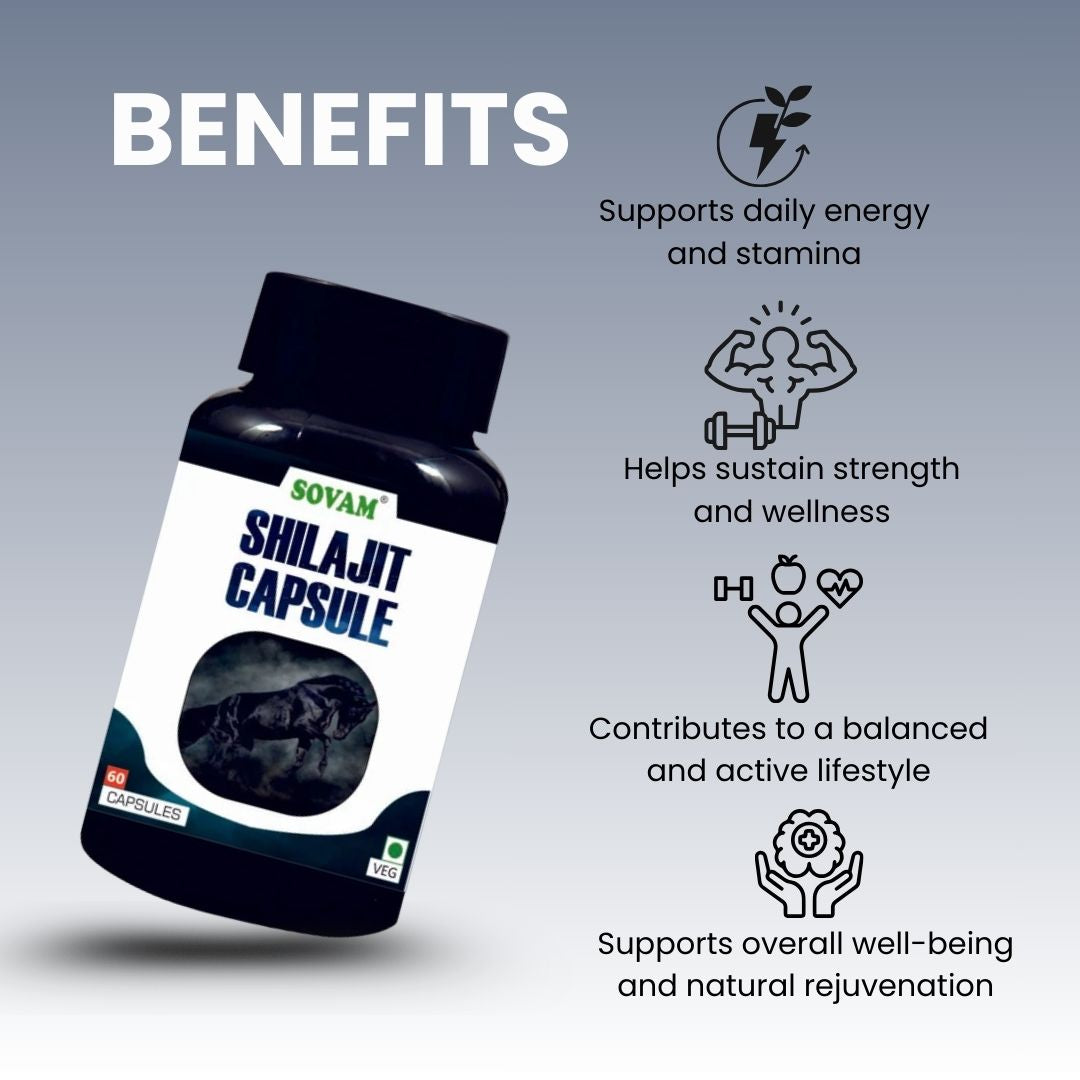 Sovam Shilajit Capsules 60 Caps – Vitality & Daily Wellness Support