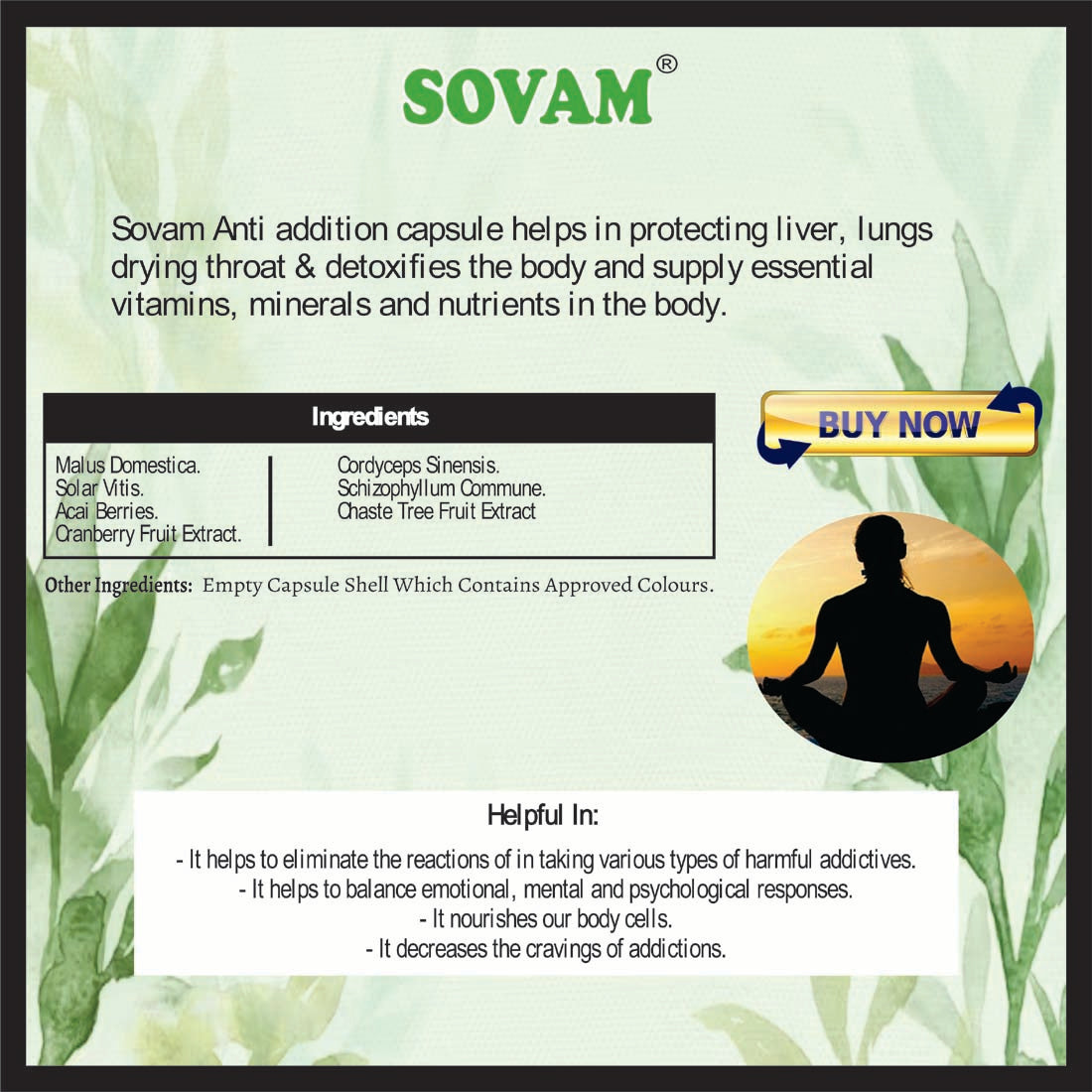 Stem Cell Juice, 500ml Ayurvedic Tonic | Sovam Ayurveda