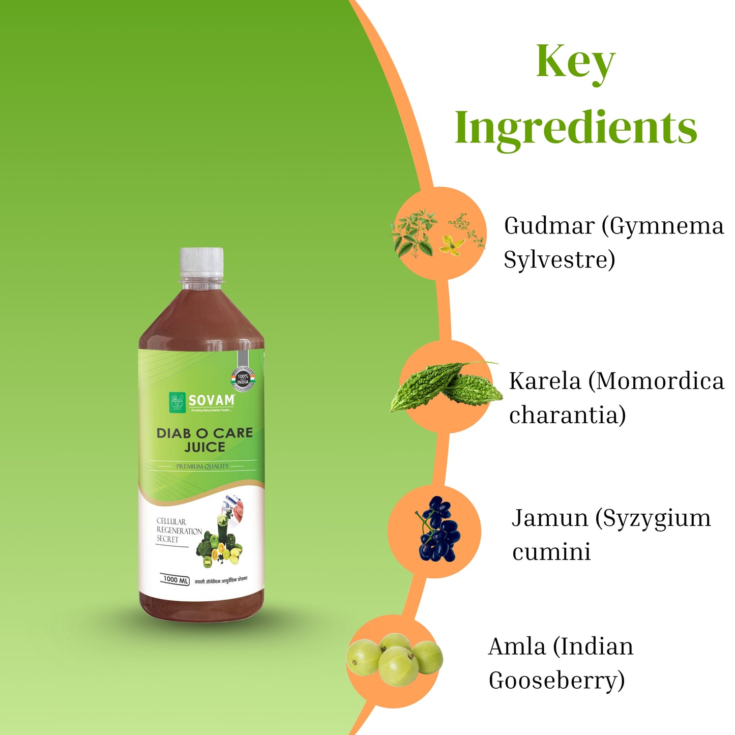 Sovam Diab O Care Juice – 1000 ml
