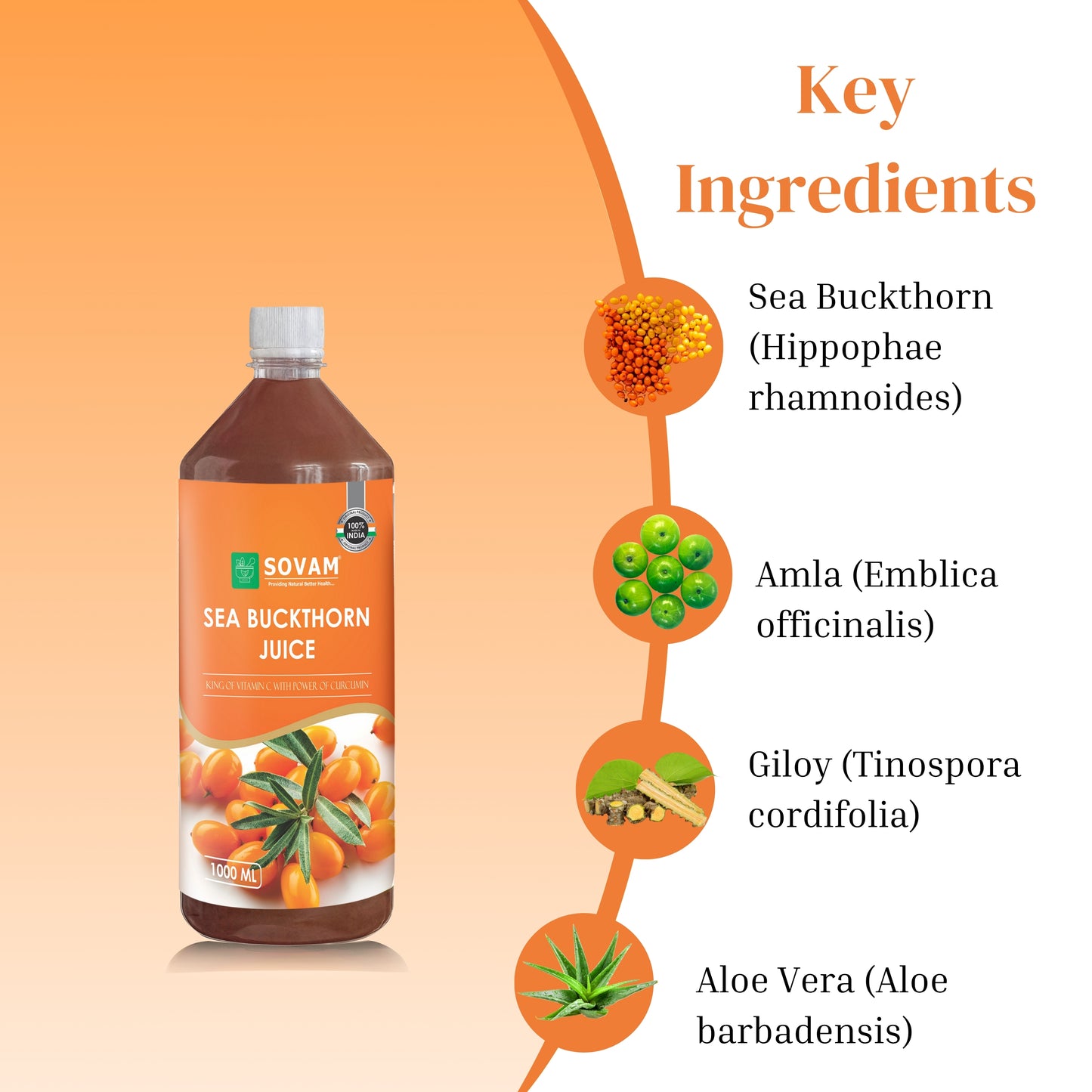 Sea Buckthorn Juice – Immunity & Skin Booster 1000ml
