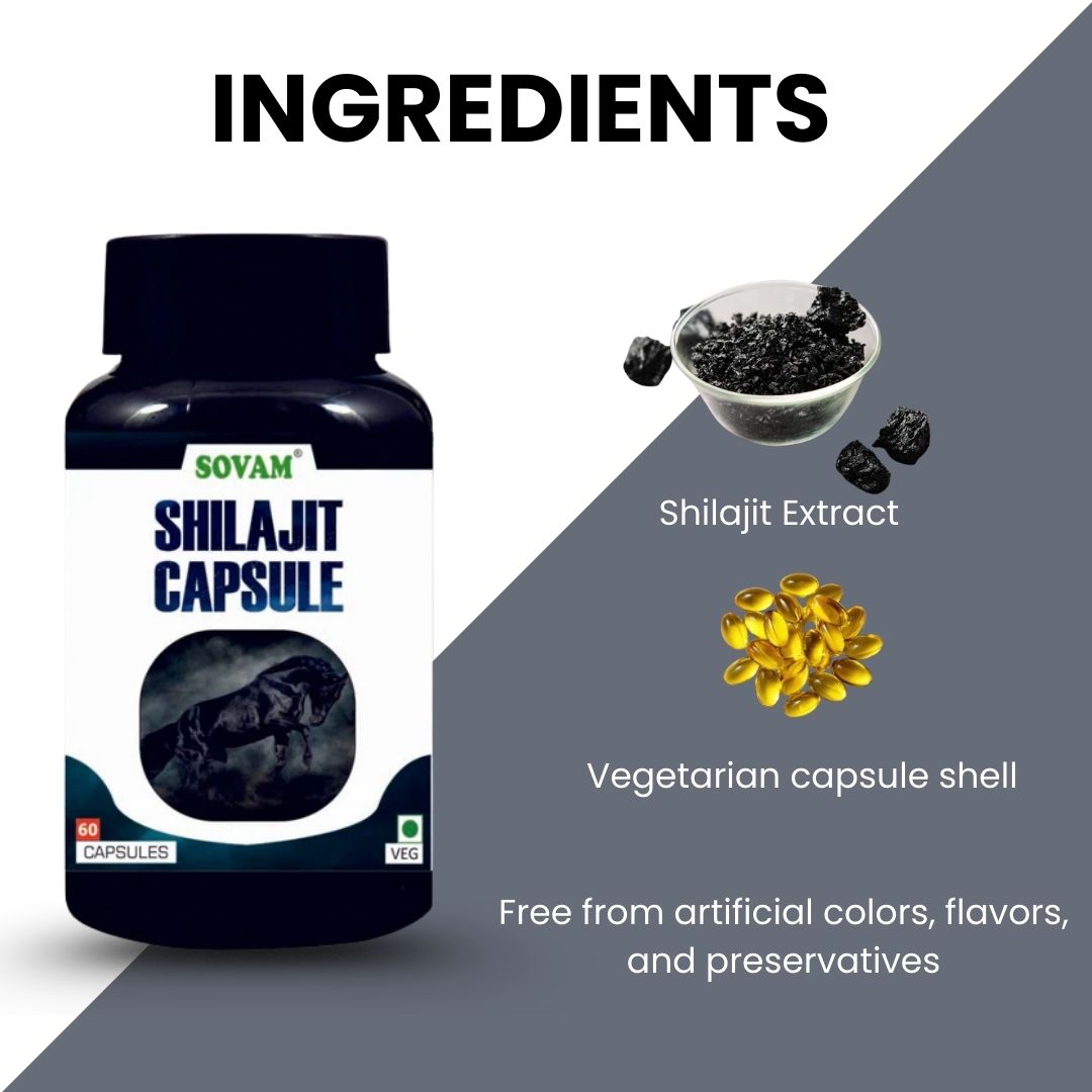 Sovam Shilajit Capsules 60 Caps – Vitality & Daily Wellness Support