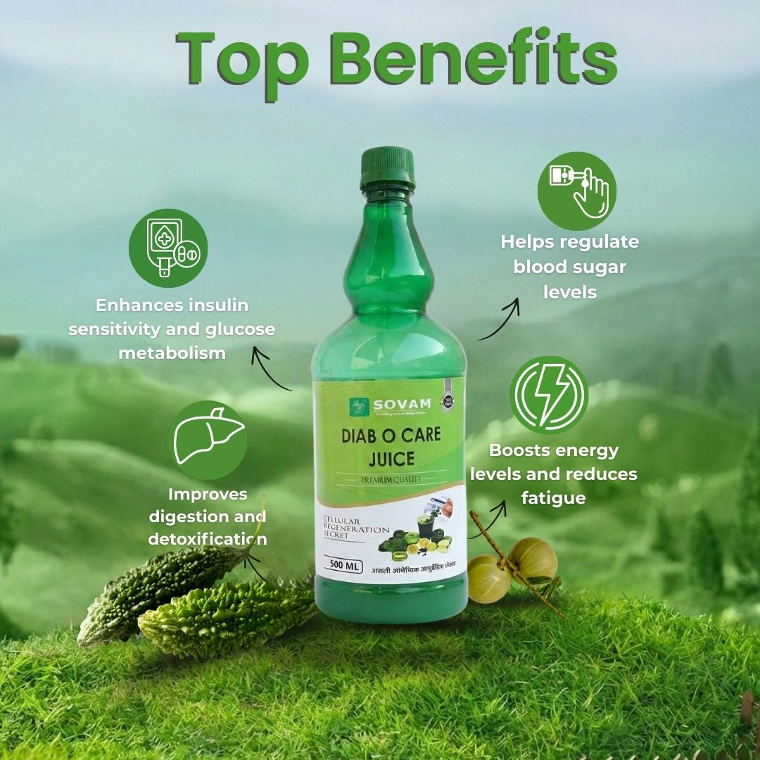 Sovam O Care Juice 500ml | Daily Wellness & Metabolic Balance Support – Ayurvedic Herbal Blend | Gudmar, Amla, Vijaysar | Sovam Ayurveda