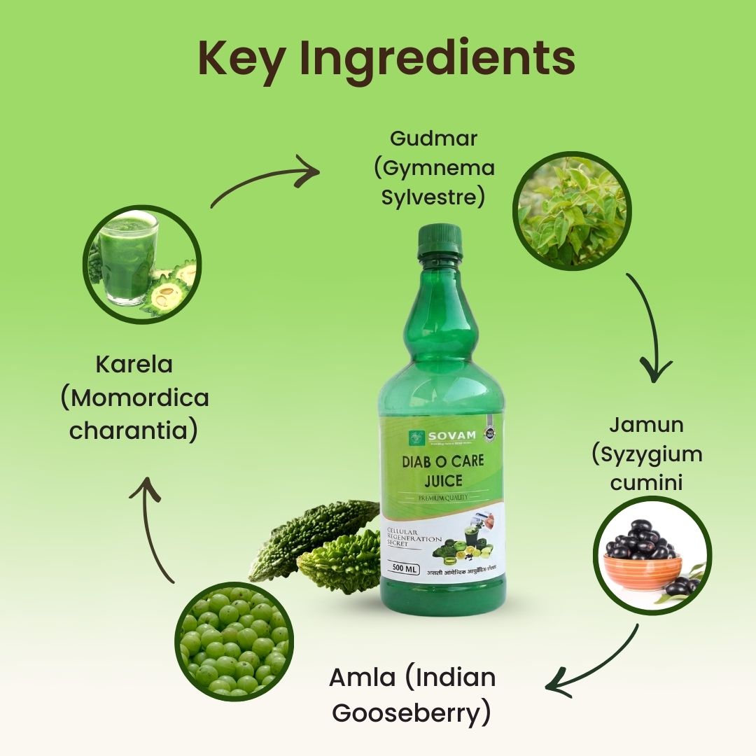 Sovam O Care Juice 500ml | Daily Wellness & Metabolic Balance Support – Ayurvedic Herbal Blend | Gudmar, Amla, Vijaysar | Sovam Ayurveda