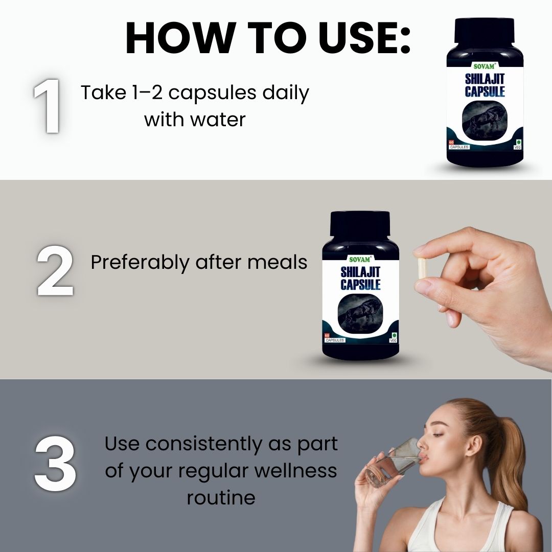 Sovam Shilajit Capsules 60 Caps – Vitality & Daily Wellness Support
