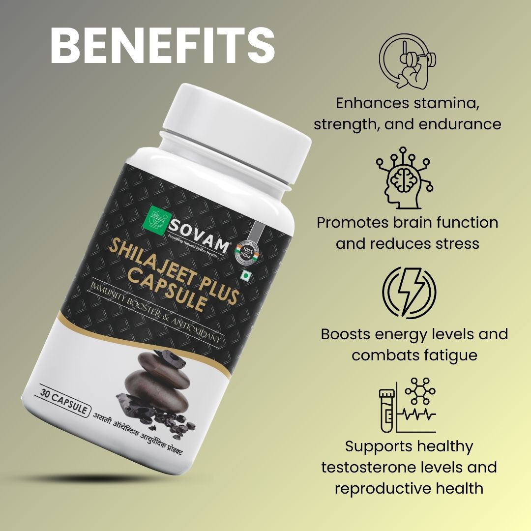 Sovam Shilajeet Plus Capsules 30 Caps – Vitality & Daily Wellness Support