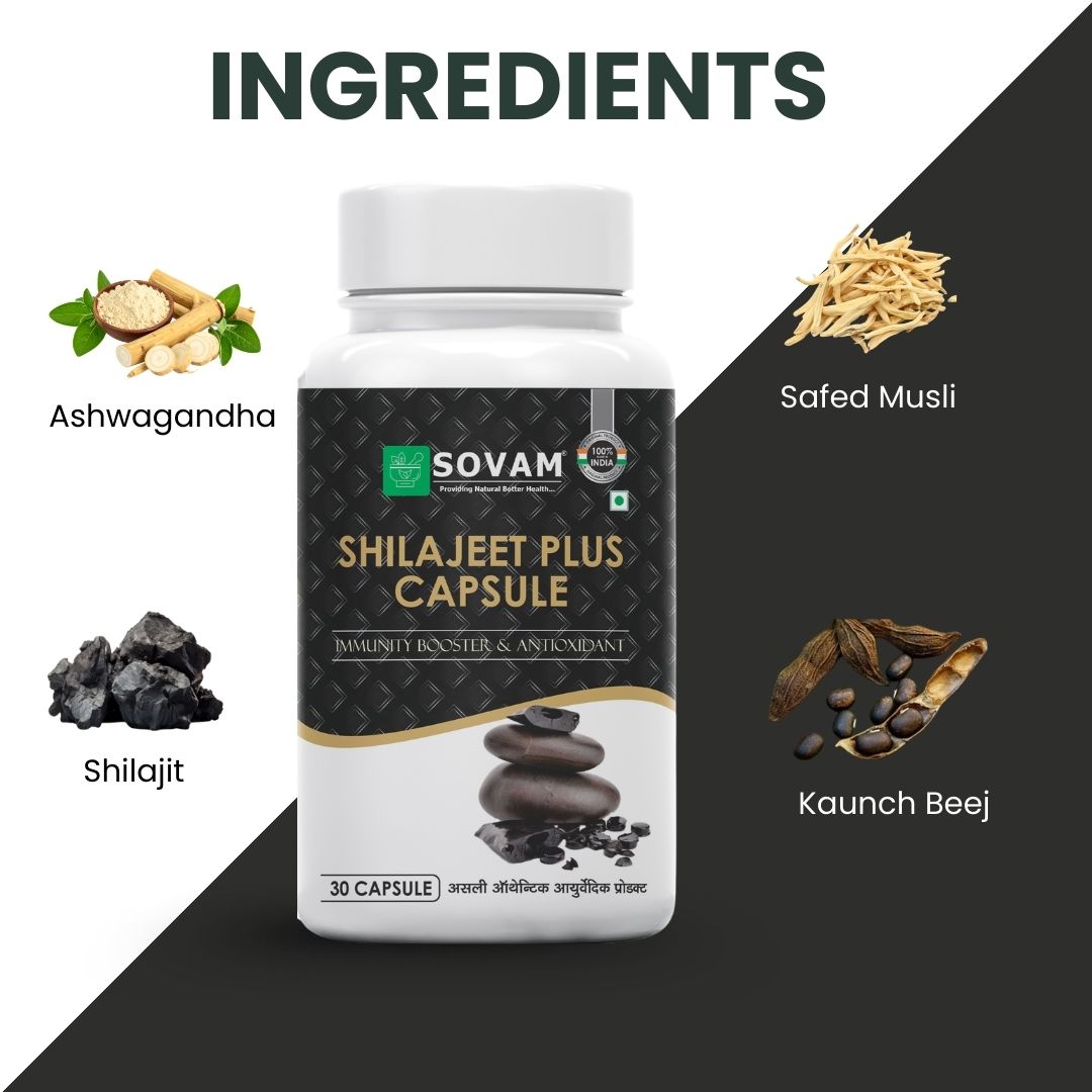 Sovam Shilajeet Plus Capsules 30 Caps – Vitality & Daily Wellness Support
