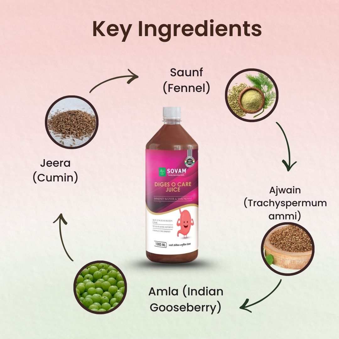 Sovam Diges O Care Juice 1000ml – Digestive Wellness Support