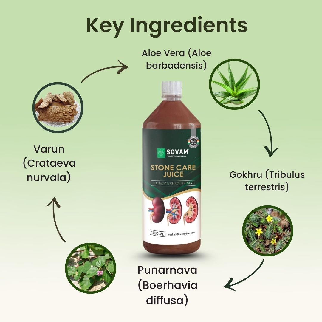 Sovam Stone Care Juice 1000ml – Ayurvedic Herbal Wellness Support