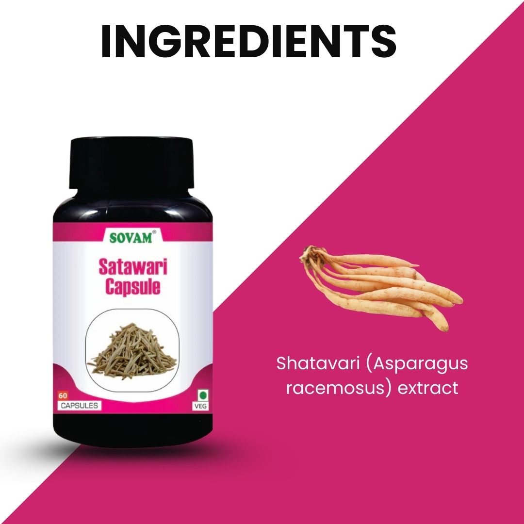 Sovam Shatavari Capsules 60 Caps – Women’s Wellness & Daily Vitality Support
