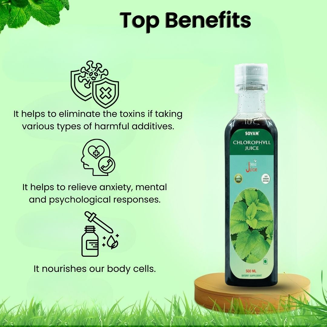 Sovam Chlorophyll Juice 500ml – Green Detox & Daily Wellness Support