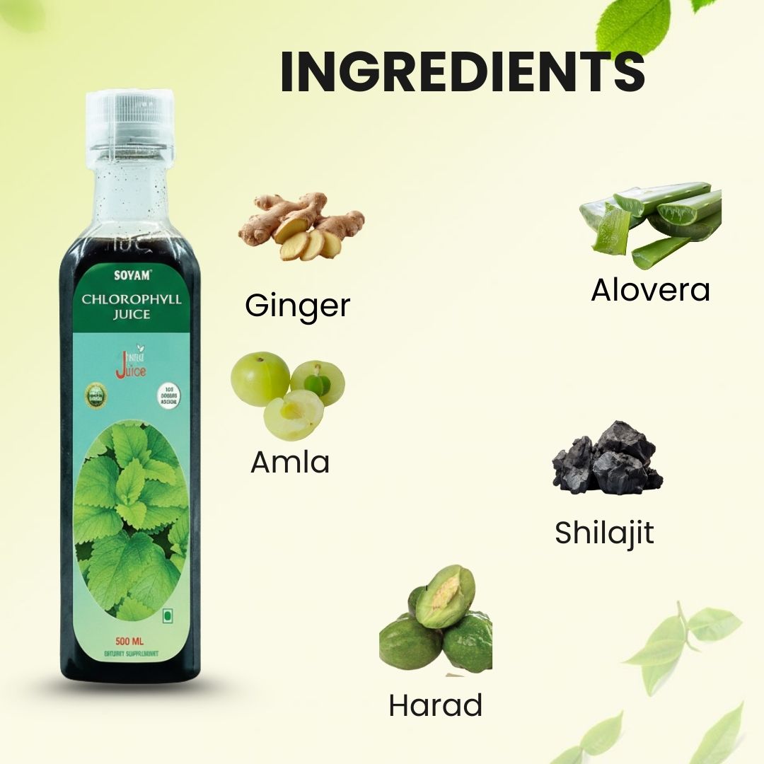 Sovam Chlorophyll Juice 500ml – Green Detox & Daily Wellness Support
