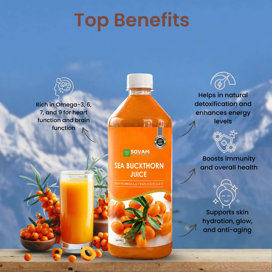 Sovam Sea Buckthorn Juice 1000ml | Himalayan Superfruit Drink | Natural Antioxidants | Plant-Based Wellness