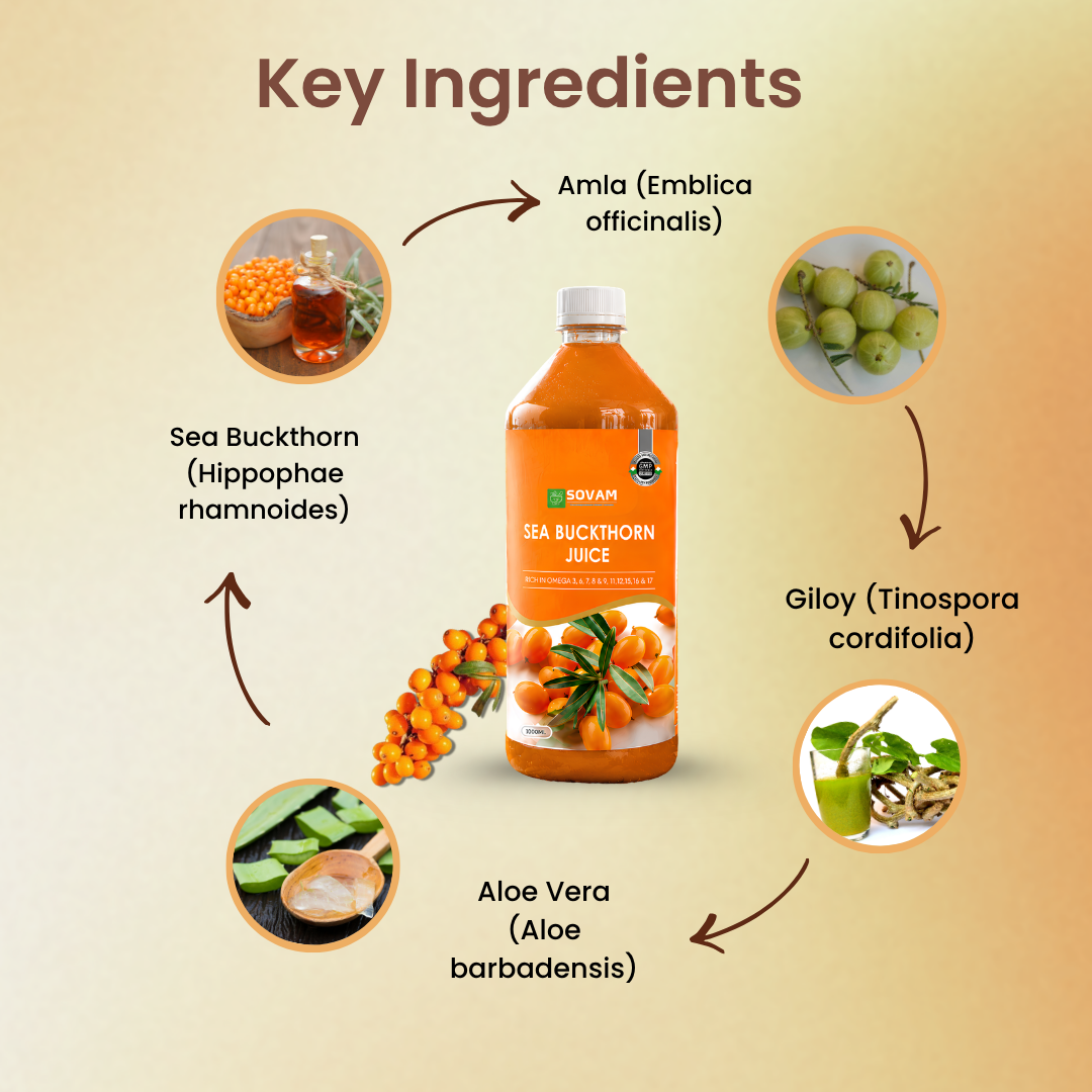 Sovam Sea Buckthorn Juice 1000ml | Himalayan Superfruit Drink | Natural Antioxidants | Plant-Based Wellness