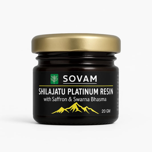 Ayurvedic Shilajit Resin | Pure Himalayan Shilajatu Platinum for Energy & Wellness